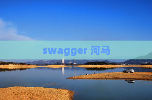 swagger 河马